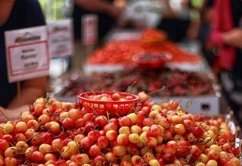 Cherry Samples CC BY  Ian Sane